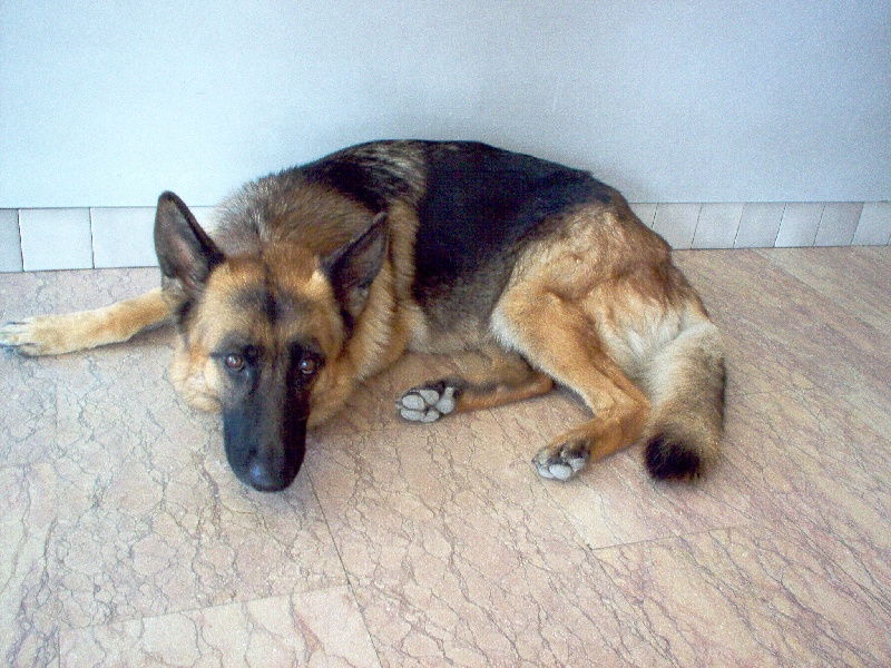 Publication : Des perles de l'étang 