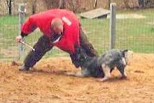 Publication : de la Genesis 