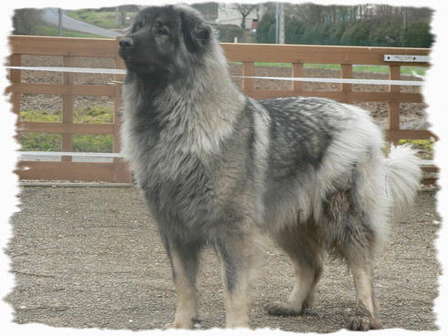 Publication : de la Source D'Aujalie 