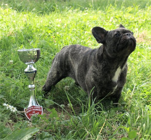 Anabelle du haut mariage