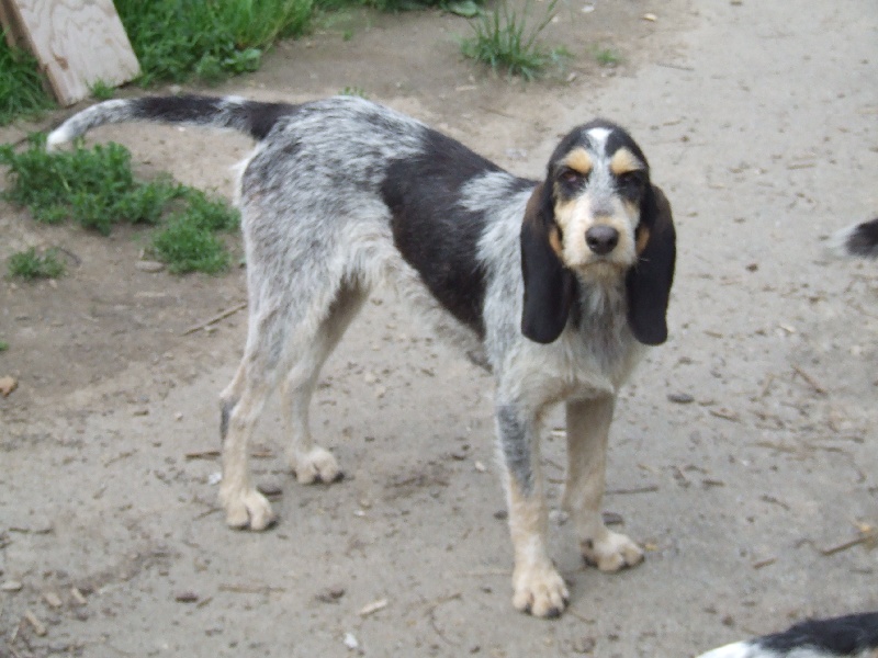 Publication : de la vallée du frout 