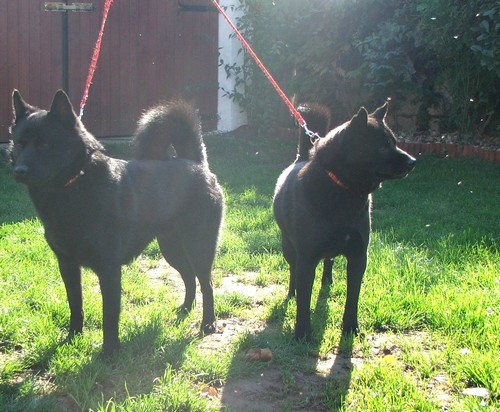 Publication : des Trésors de l'Eden 