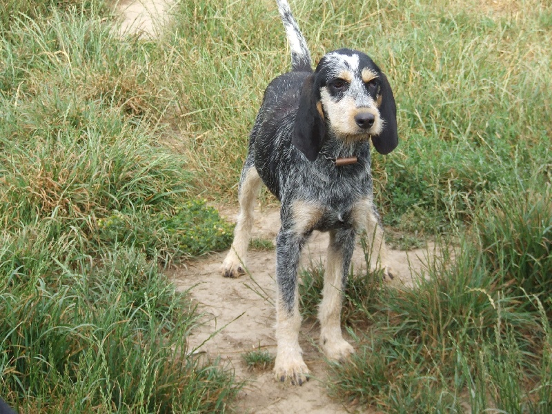 Publication : de la vallée du frout 