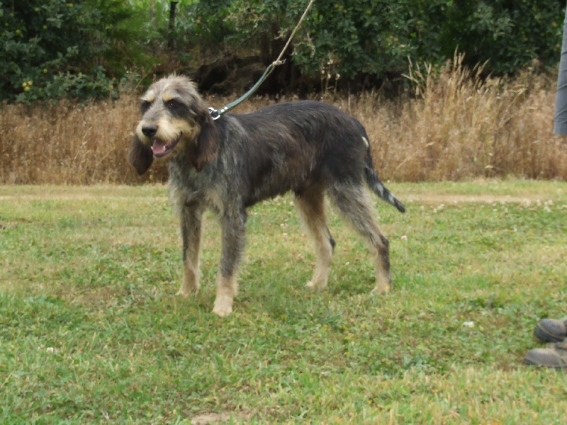 Publication : de la vallée du frout 