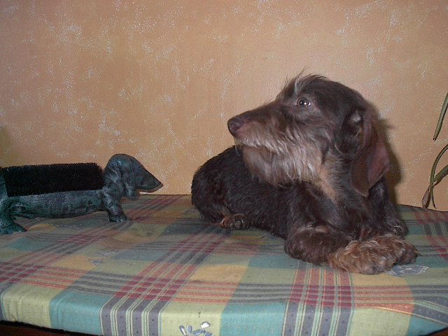 Publication : Du logis de beaumanoir 