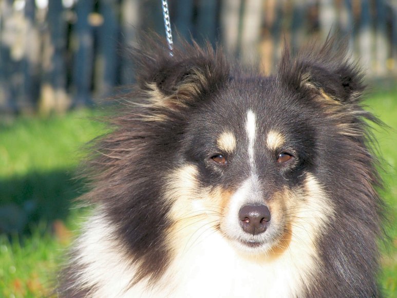 Publication : Lazy river of jurassic valley 