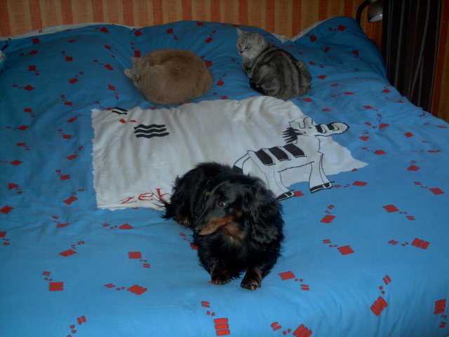 Publication : de la goutte du Chaity 