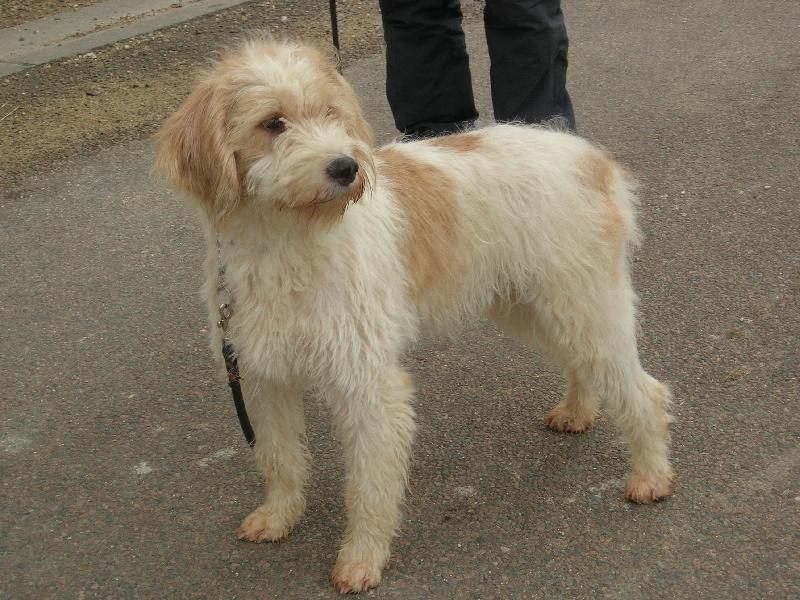 Publication : du sentier d'Aimeron 