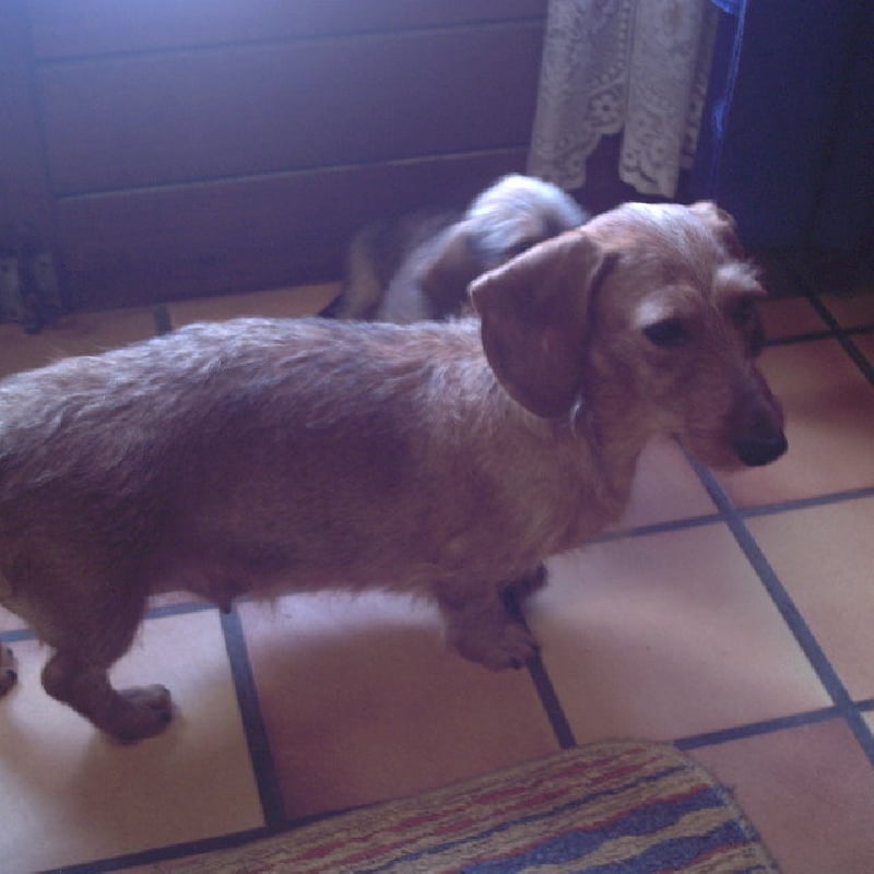 Publication : de la goutte du Chaity 