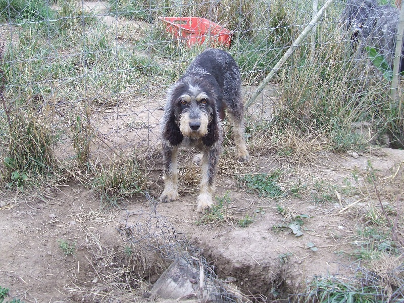 Publication : de la vallée du frout 