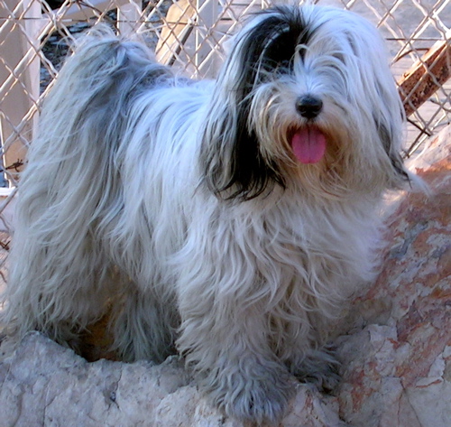 Publication : de l'Ecume de Lune 