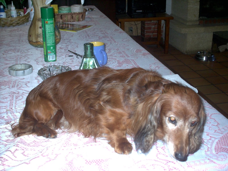 Publication : de la goutte du Chaity 