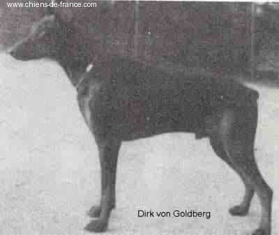 Dirk V.goldberg