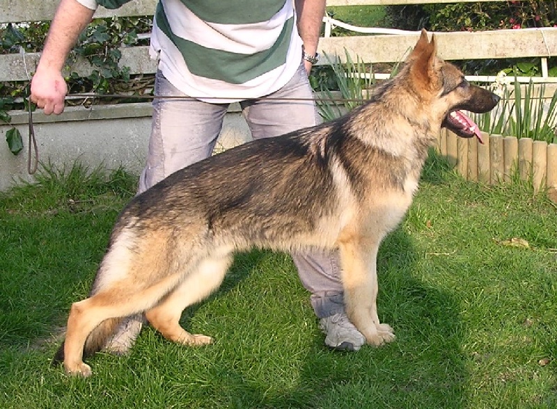 Bax Du domaine de cadolan