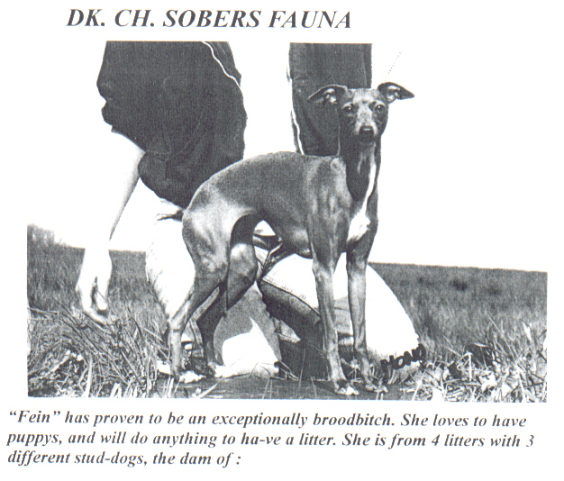 CH. Sobers Fauna