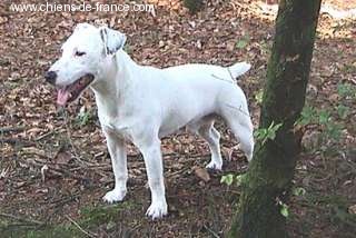 Va et vient (Sans Affixe)