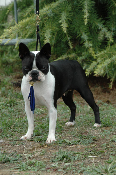 Publication : (Sans Affixe) 