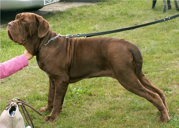 Publication : Le Gué de Pandour 