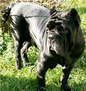 Publication : Le Gué de Pandour 