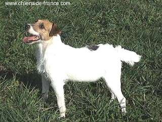 Susan's pride Yasmina