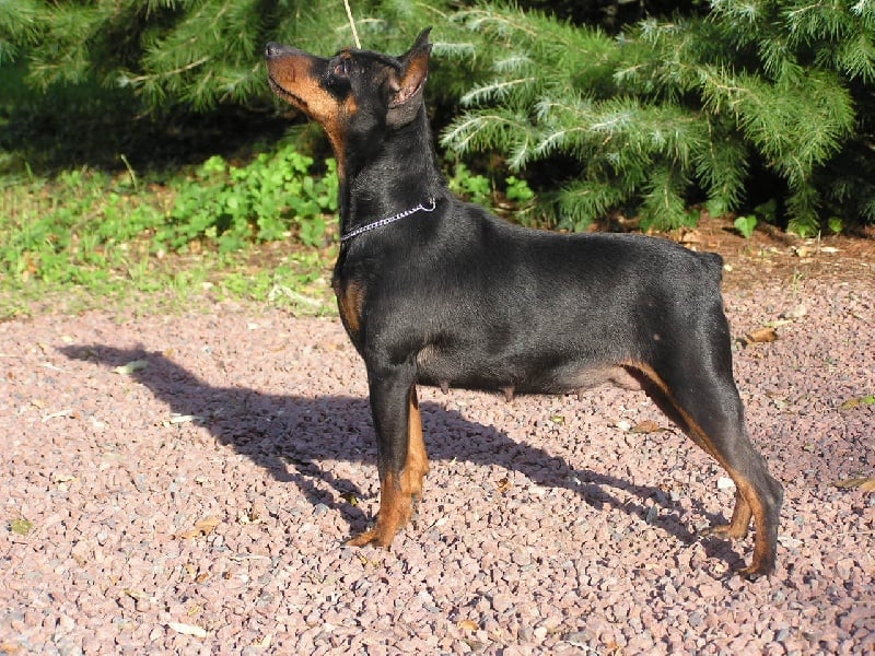 Tamara Du marais de la motte