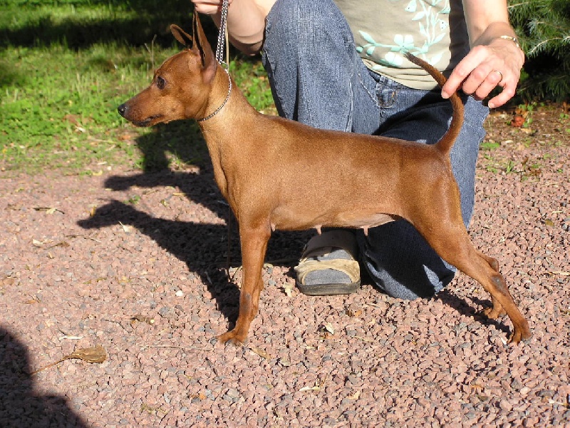 Estopa Vom kosslbachtal