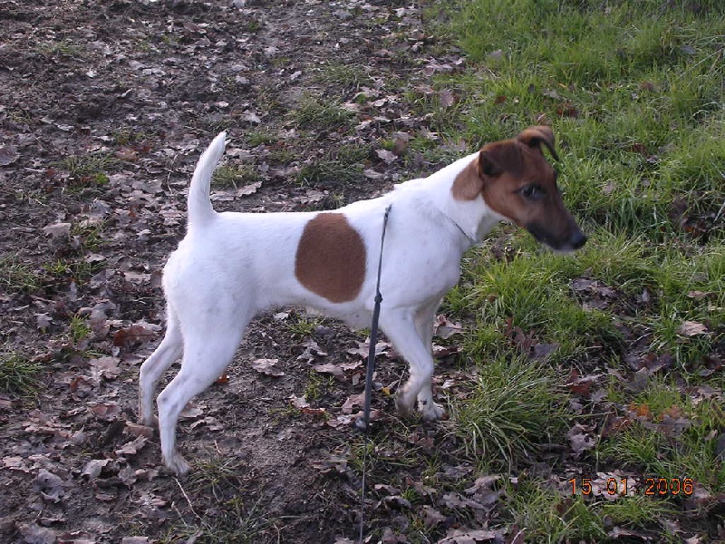 Publication : du Pont des Narces 