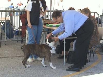 Publication : du lac de la roche de ram 