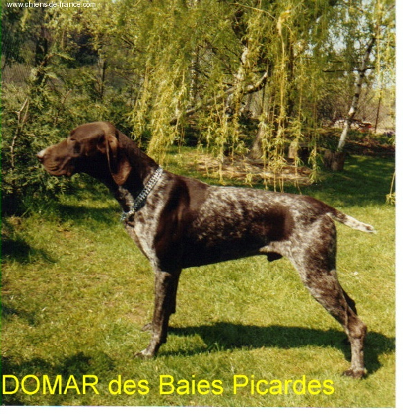 CH. Domar des Baies Picardes