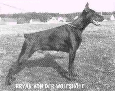 Bryan v.d. wolfshöhe