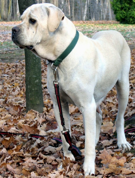 Tatiana Du domaine de lomont