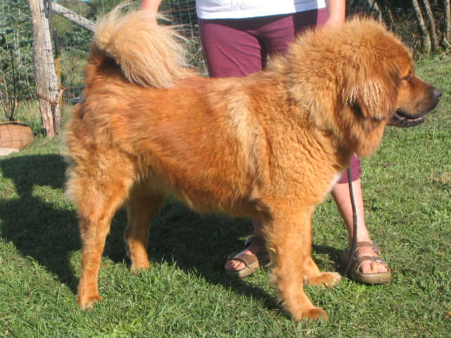 Publication : Le domaine de fabadel 