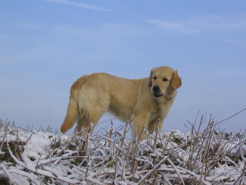 Publication : des grandes plaines de l'Artois