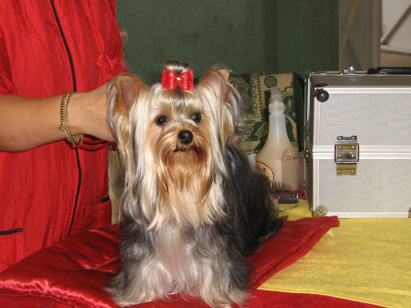 Anny starlette du domaine du lac Grangent