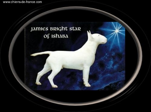 Jamie bright star Ishaba