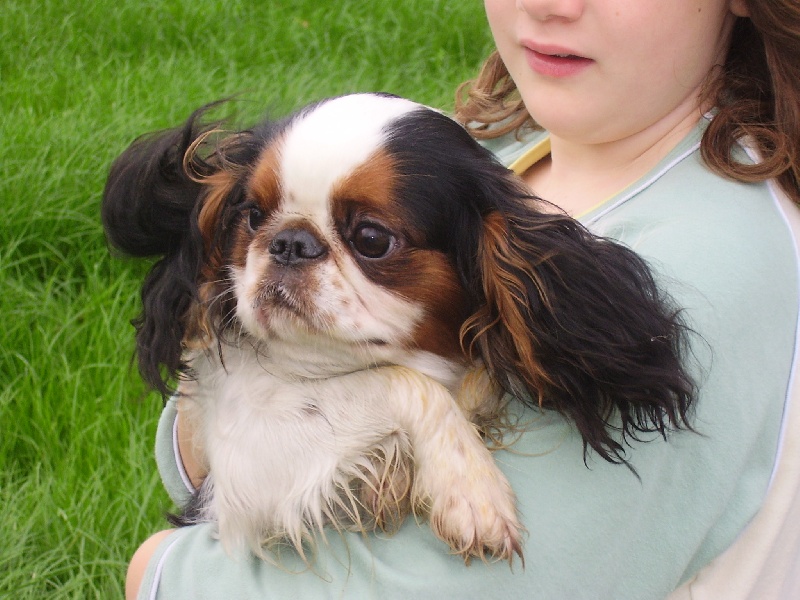 Publication : de la vallée de Luchapt 