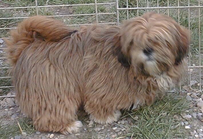 Umpai de L'Espace Bleu Entre Les Nuages