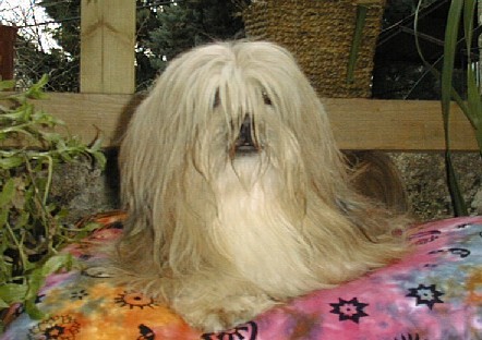 Rmjust coco de L'Espace Bleu Entre Les Nuages