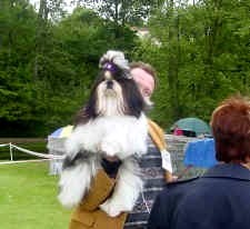 Publication : des loges de karita Auteur : photo par Mme Delarge Josette 