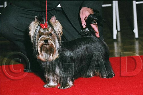 Auxance De la combe des essarts