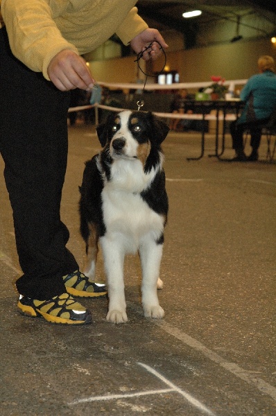 Publication : Domaine de yes I