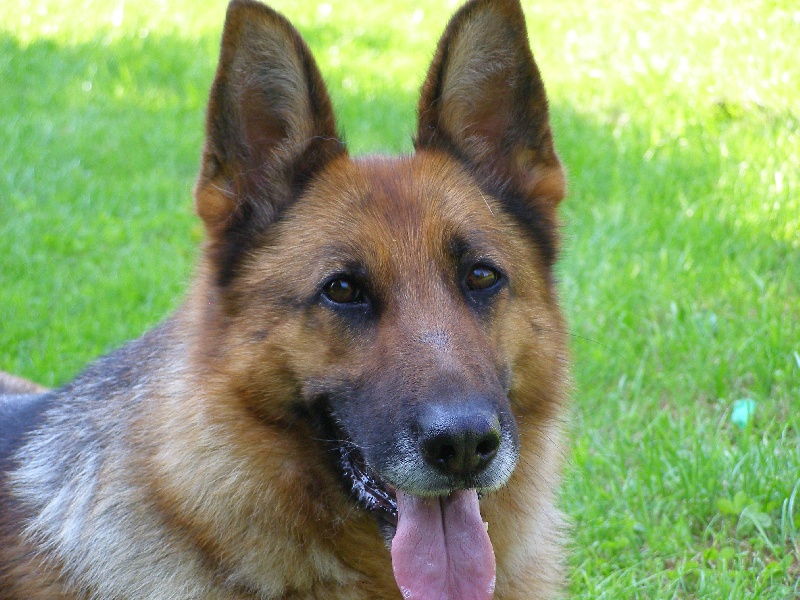 Publication : Du refuge de basso