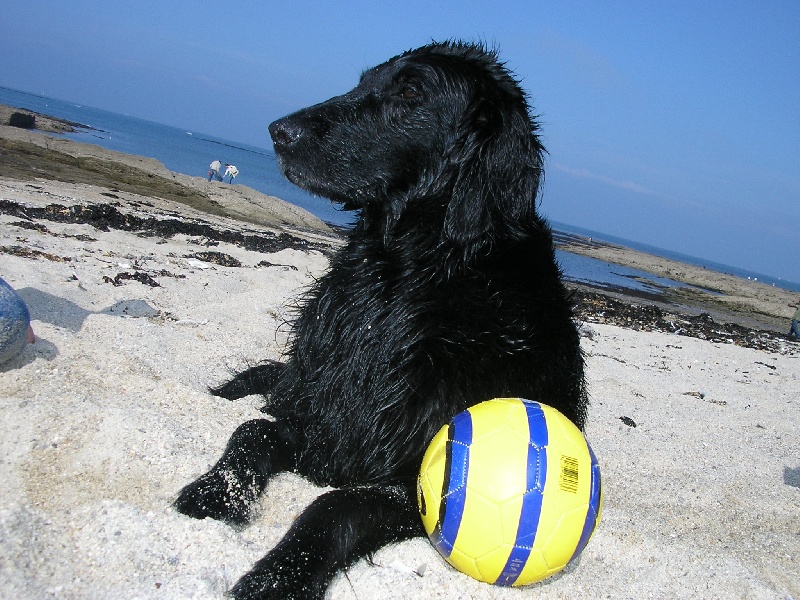 Publication : (Sans Affixe)