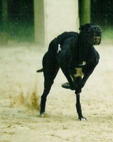 Publication : of Fast Spirit 