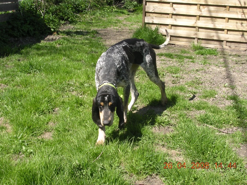 Publication : des Bauges du Senepy 