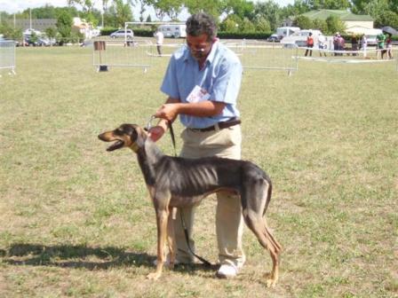 Publication : Del Sayad El Gazel 