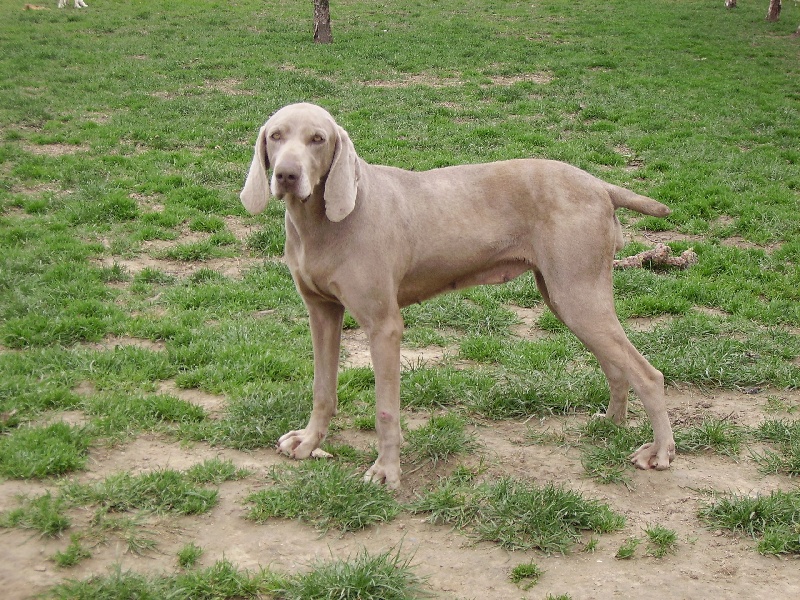 Priska Du domaine des brevonnes