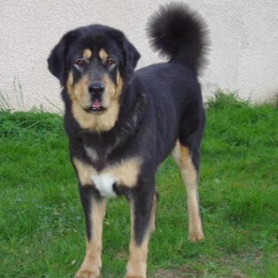 Publication : aux Protecteurs d'Eurilo 