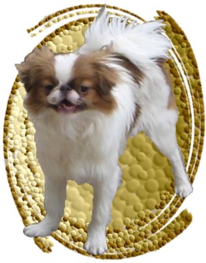 Publication : de L'Arc d'Ashérat