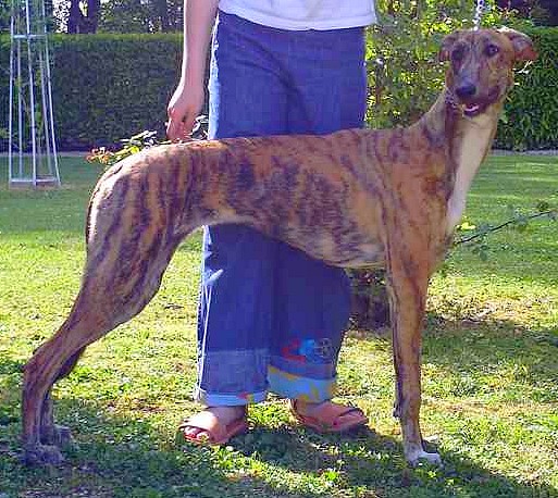 Publication : de la poterie d'en haut 